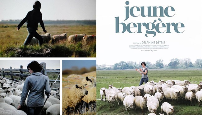 Jeune bergère de Stéphanie Détrie et La Guerre des moutons de Franck Serre