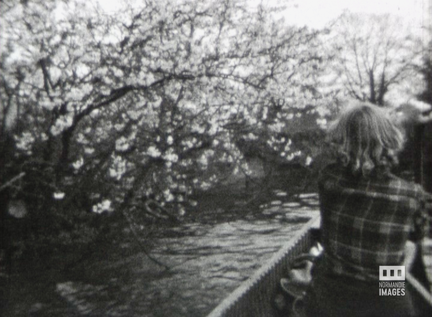 photogramme extraits du film amateur Les jours heureux de Robert Prieur, 1950, 8mm © Normandie Images