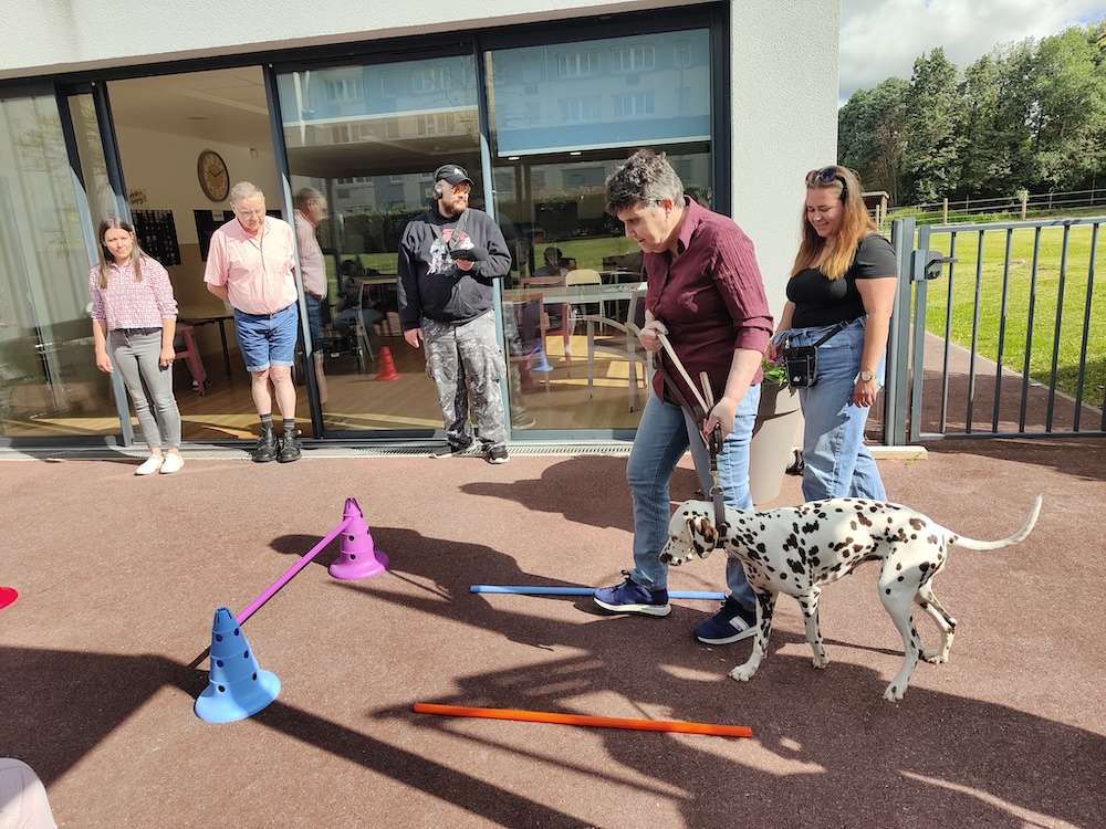 L'inclusion en lumiere 26