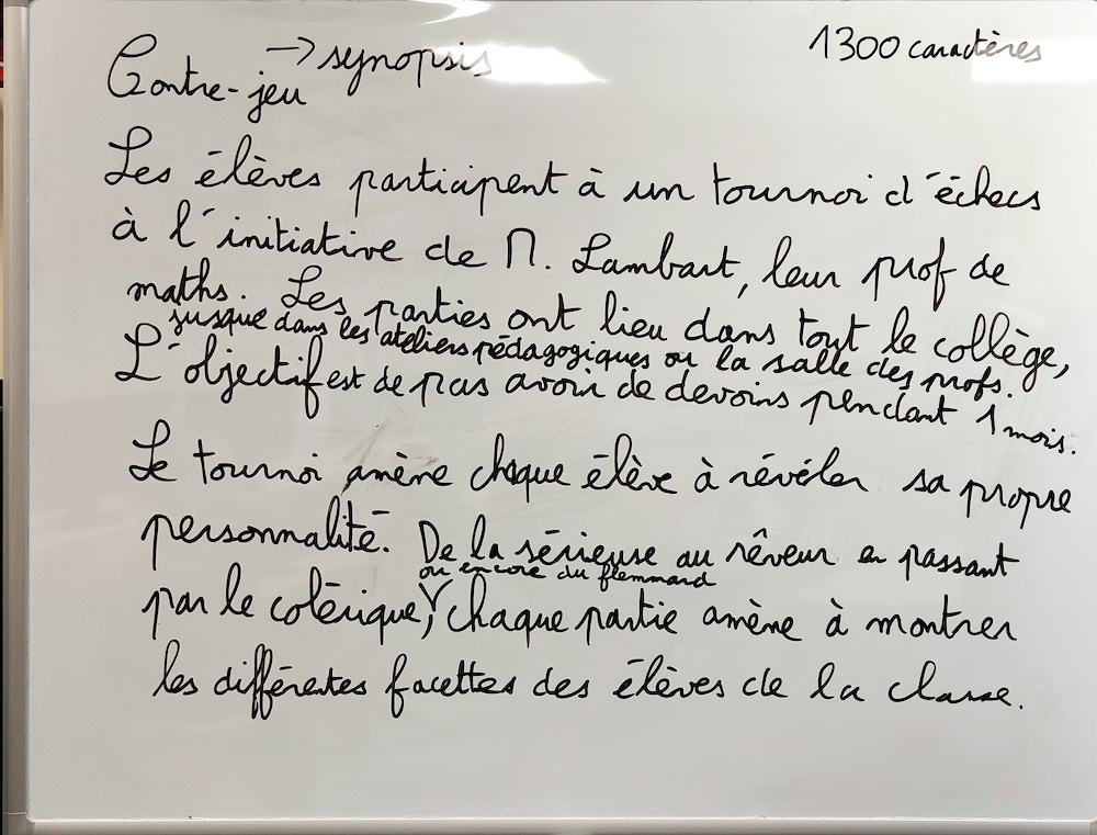 Toute la lumiere sur les Segpa 11