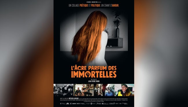 L'âcre parfum des immortelles