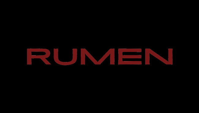 Rumen