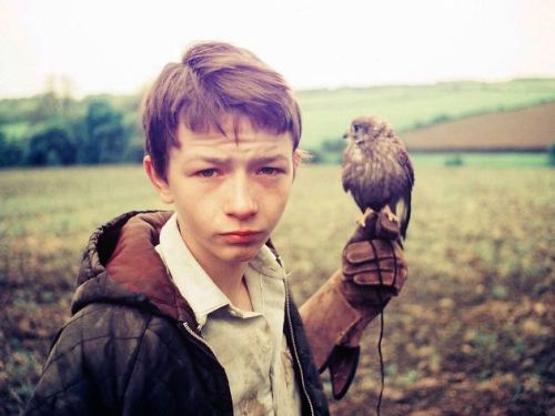 Kes de Ken Loach 1969